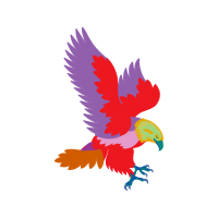 Accipitridae Animals