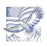 Accipitridae Animals