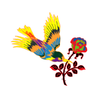 Accipitriformes Animals