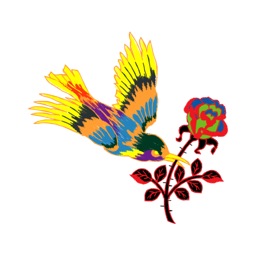 Accipitriformes Animals Accipitriformes Animals