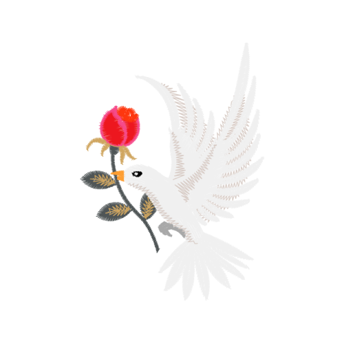 Accipitriformes Animals Accipitriformes Animals