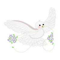 Accipitriformes Animals