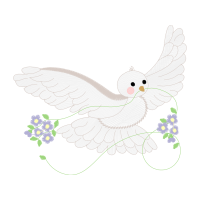 Accipitriformes Animals