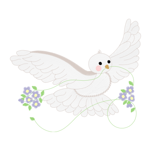 Accipitriformes Animals Accipitriformes Animals