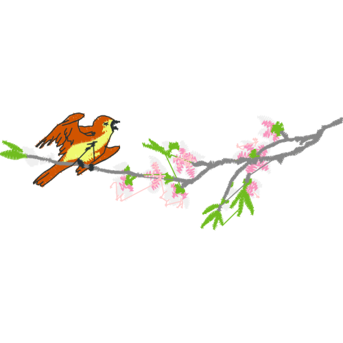 Accipitriformes Animals Accipitriformes Animals