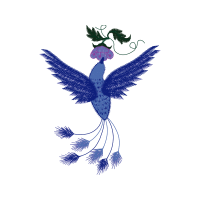 Accipitriformes Animals