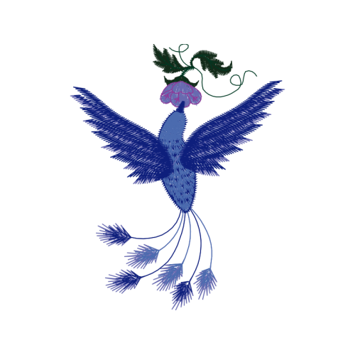 Accipitriformes Animals Accipitriformes Animals