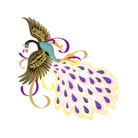 Accipitriformes Animals