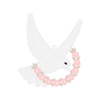 Accipitriformes Animals