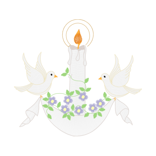 Accipitriformes Animals Accipitriformes Animals