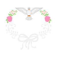 Accipitriformes Animals