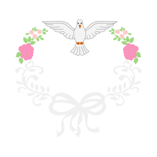 Accipitriformes Animals Accipitriformes Animals