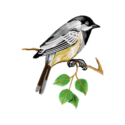 American Bushtit Animals American Bushtit Animals