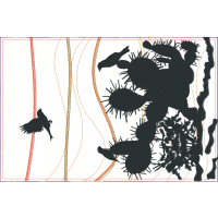 American Crow Animals