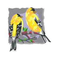 American Goldfinch Animals