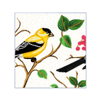 American Goldfinch Animals