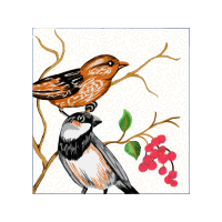 American Sparrows Animals American Sparrows Animals