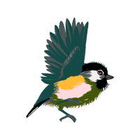 American Sparrows Animals