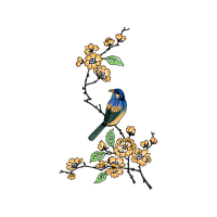 American Sparrows Animals American Sparrows Animals