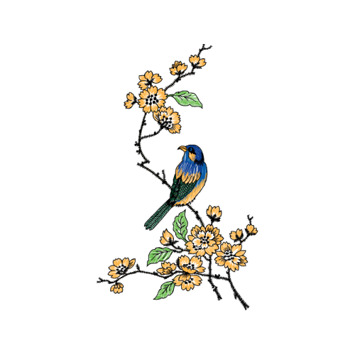 American Sparrows Animals American Sparrows Animals