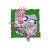 American Sparrows Animals American Sparrows Animals