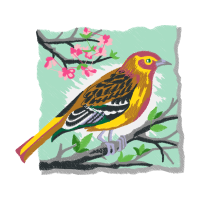 American Sparrows Animals