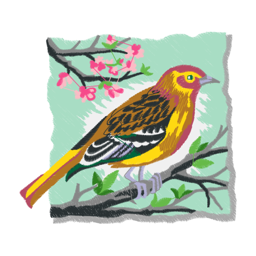 American Sparrows Animals American Sparrows Animals