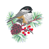 American Sparrows Animals