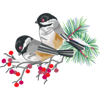 American Sparrows Animals