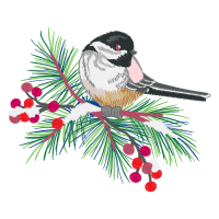 American Sparrows Animals