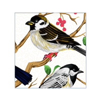 American Sparrows Animals