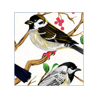 American Sparrows Animals