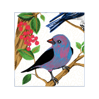 American Sparrows Animals