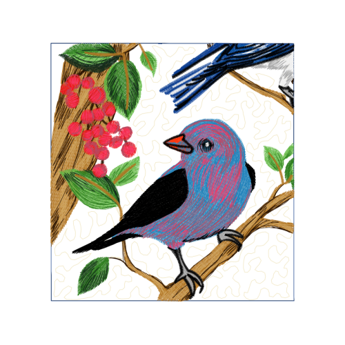 American Sparrows Animals American Sparrows Animals