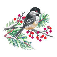 American Sparrows Animals