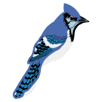 American Wirehair Animals