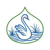 Area Animals Area Animals