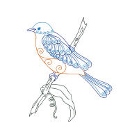 Art Animals Art Animals