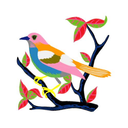 Art Animals Art Animals