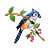 Art Animals Art Animals