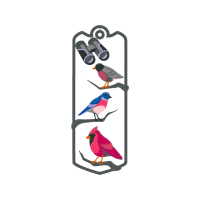 Art Animals Art Animals