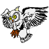 Art Animals Art Animals