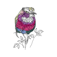 Art Animals Art Animals