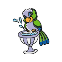 Art Animals Art Animals