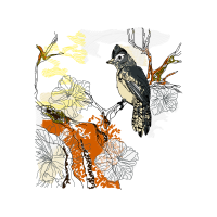 Art Animals Art Animals