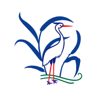 Art Animals Art Animals