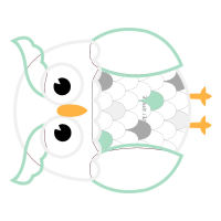 Art Animals Art Animals