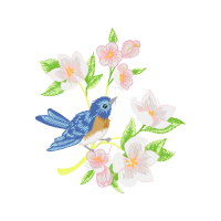 Art Animals Art Animals