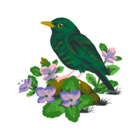 Art Animals Art Animals