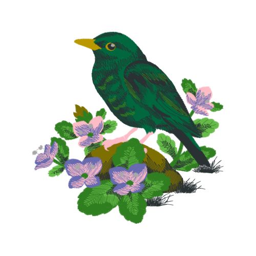 Art Animals Art Animals